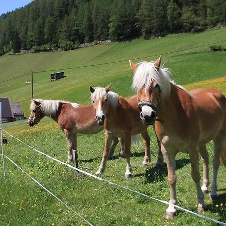 Фермерський будинок Omesbergerhof