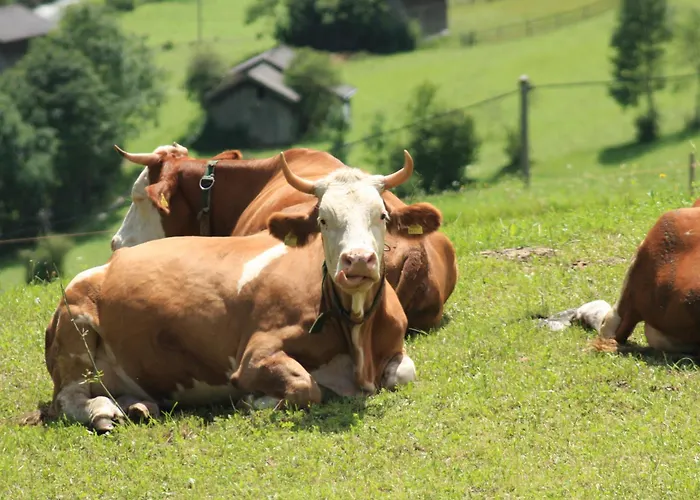 مزرعة للإقامة Omesbergerhof *