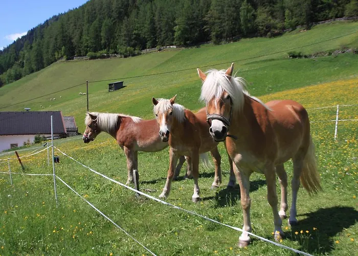 Gospodarstwo agroturystyczne Omesbergerhof